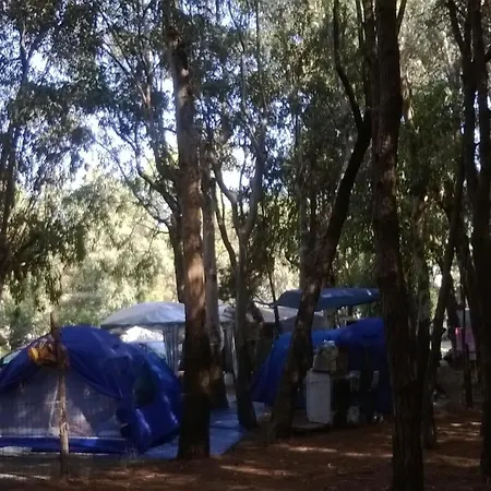 Campsite Ulisse Calabria Lamezia Terme
