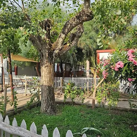 Campingplads Ulisse Calabria