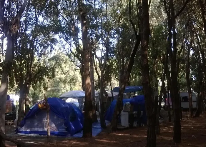 אתר קמפינג Ulisse Calabria למזיה טרמה