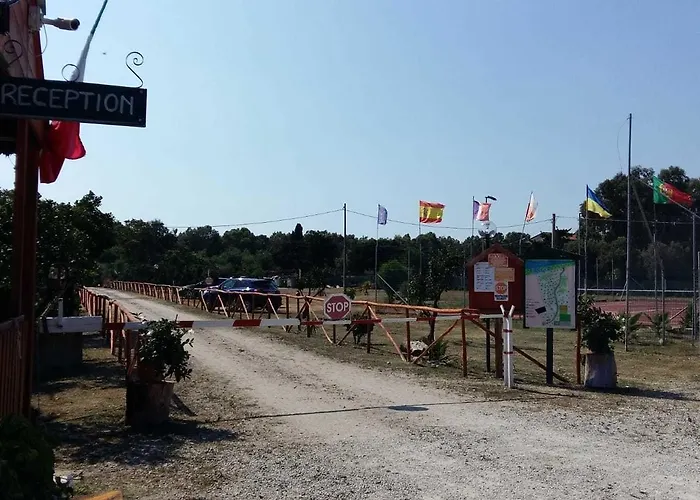 Ulisse Calabria * למזיה טרמה